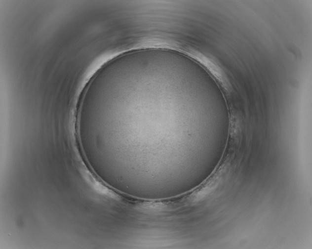 X0000111871094200907231508
