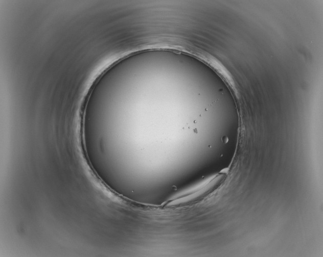 X0000111871096200907231508