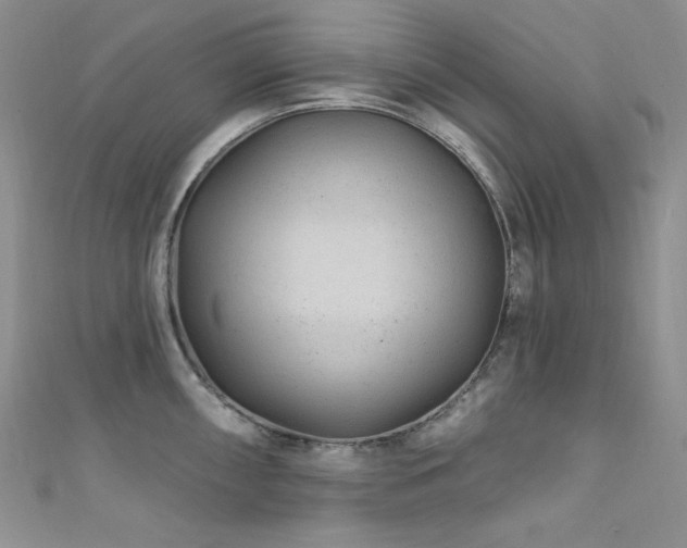 X0000111871098200907231507