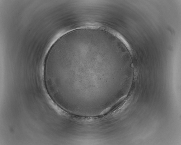 X0000111871099200907231507