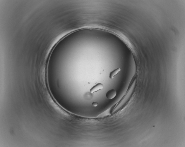 X0000111871100200907231507