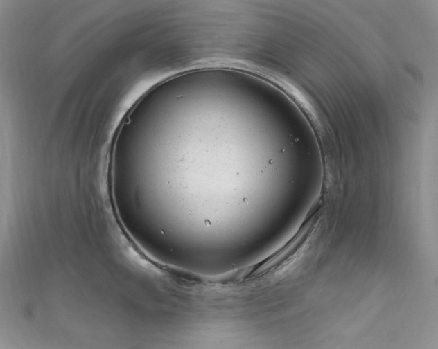 X0000111871102200907231507