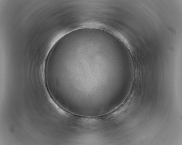 X0000111871103200907231507