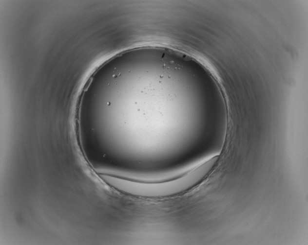 X0000111871104200907231507