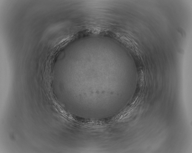 X0000111871105200907231507
