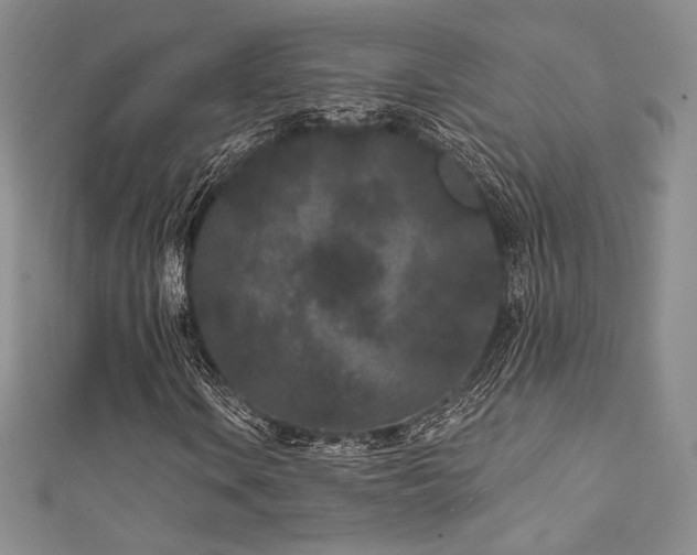 X0000111871106200907231507