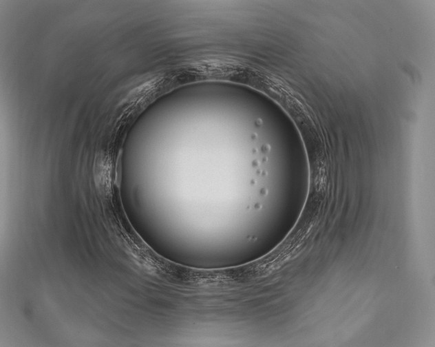 X0000111871108200907231507