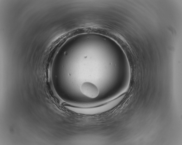 X0000111871112200907231507