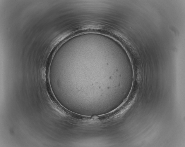 X0000111871113200907231507