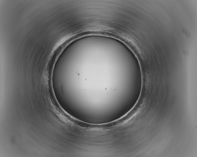 X0000111871114200907231507
