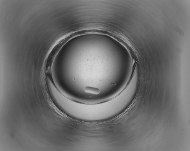 X0000111871116200907231507
