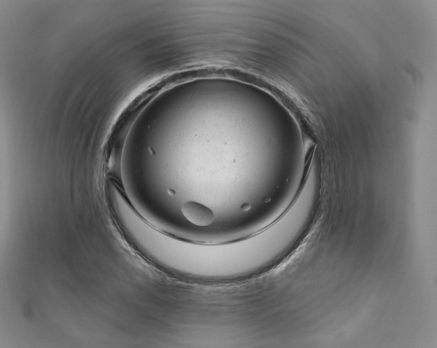 X0000111871118200907231507
