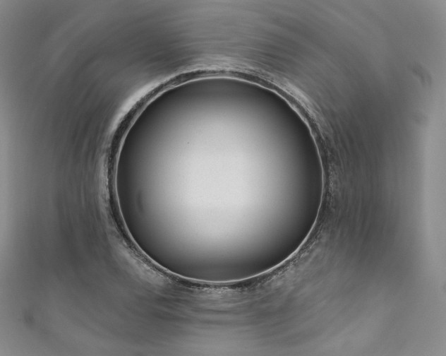 X0000111871120200907231507