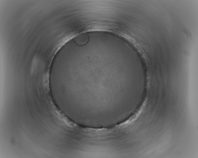 X0000111871121200907231507