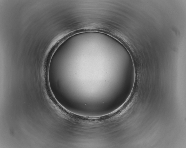 X0000111871122200907231507
