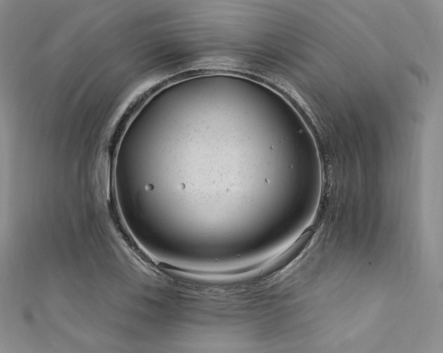 X0000111871123200907231507