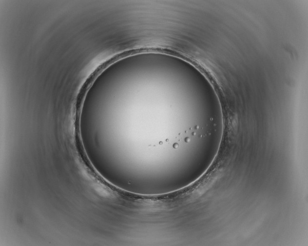 X0000111871124200907231507