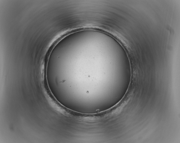 X0000111871126200907231507