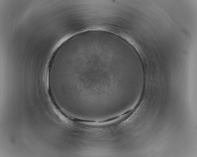 X0000111871127200907231507