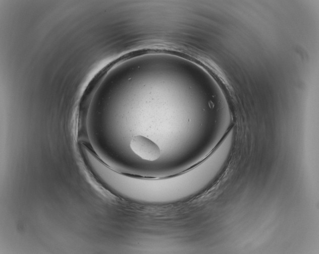 X0000111871128200907231507