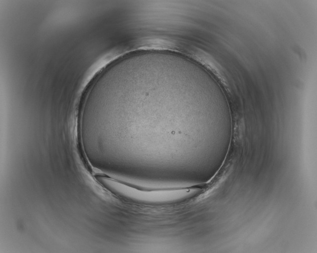 X0000111871130200907231507