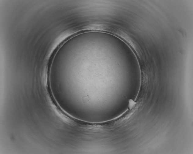 X0000111871131200907231507