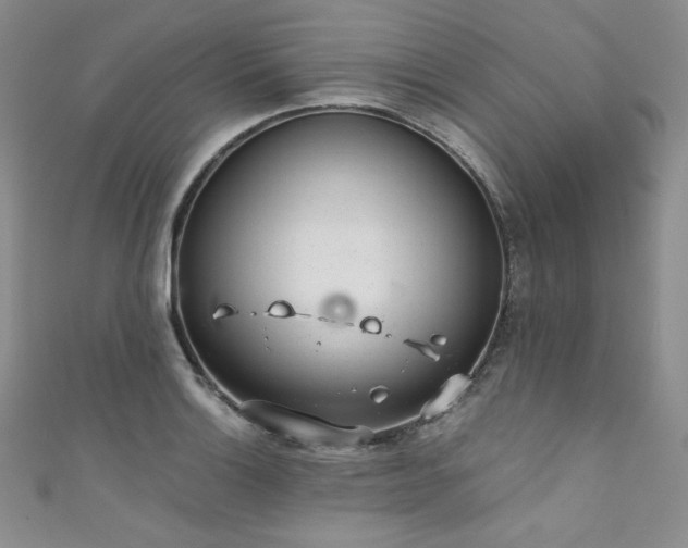 X0000111871132200907231507