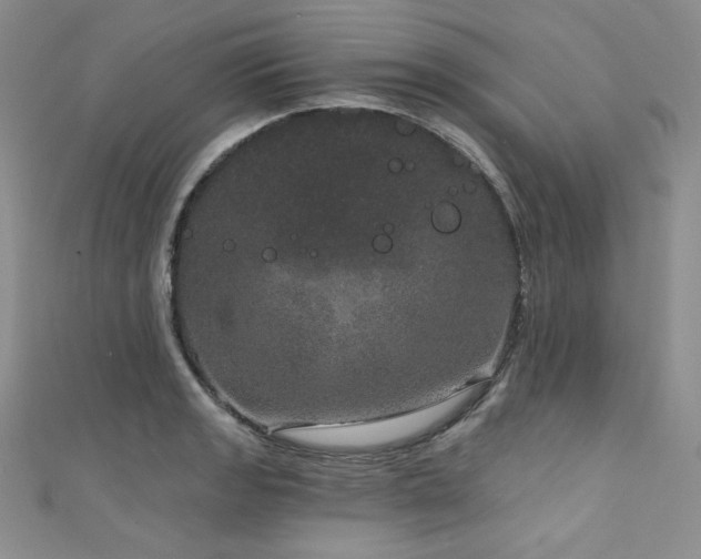 X0000111871133200907231507