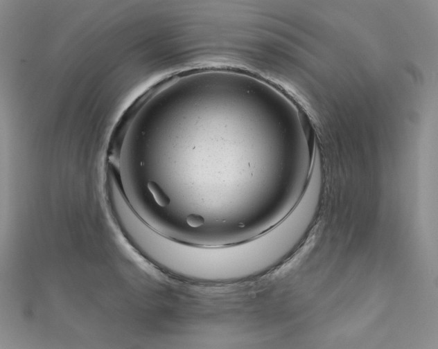 X0000111871134200907231507