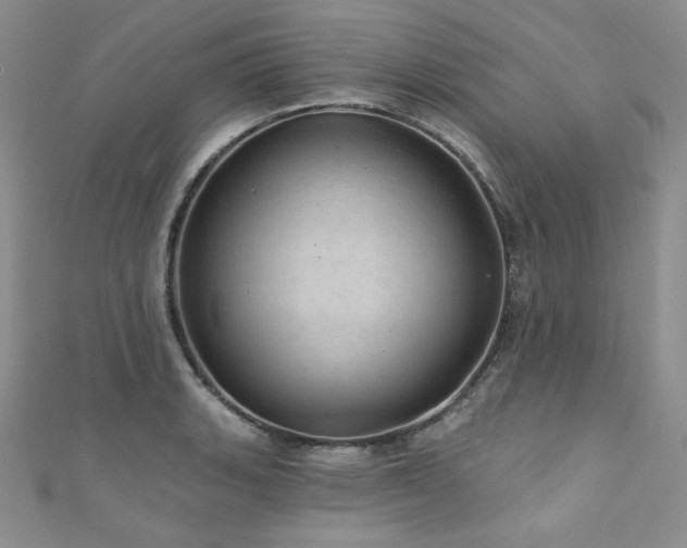 X0000111871135200907231507