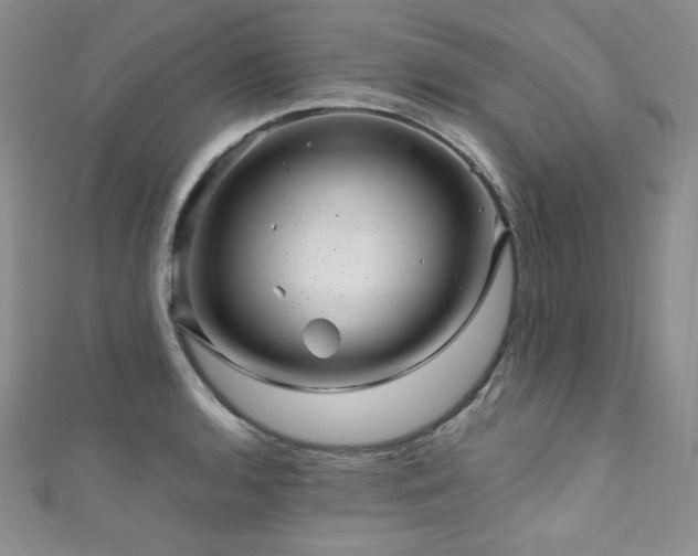 X0000111871136200907231507