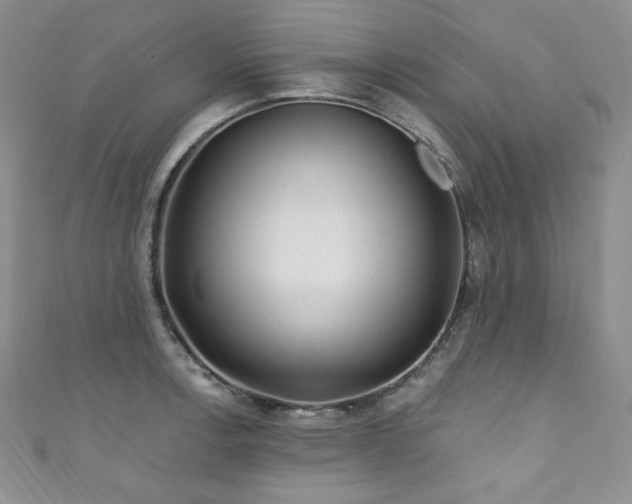 X0000111871138200907231507