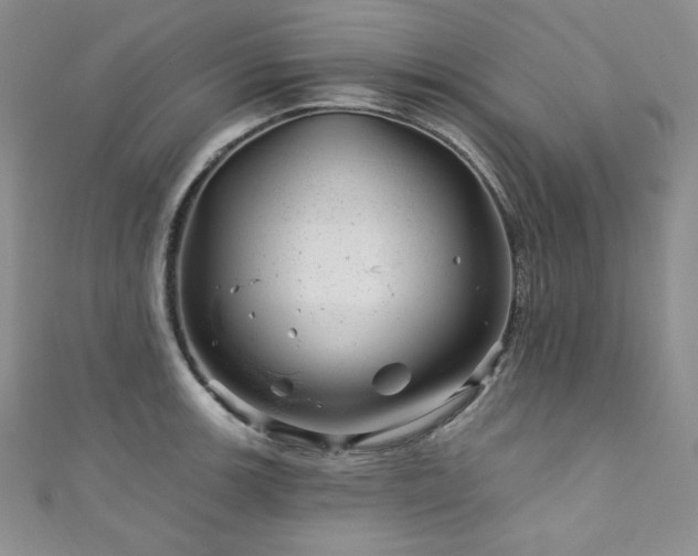 X0000111871139200907231507