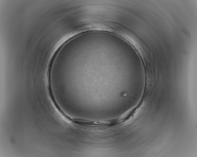 X0000111871141200907231507
