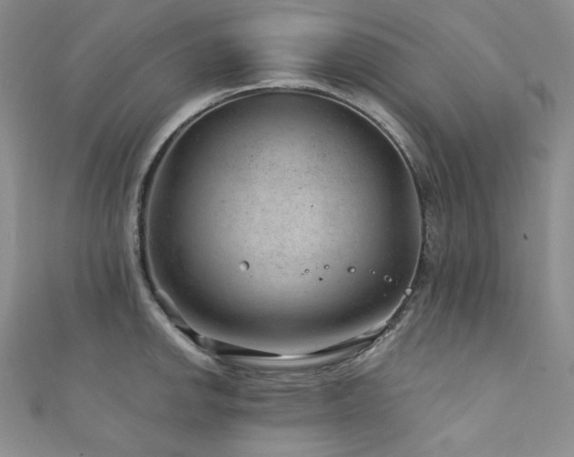 X0000111871142200907231507