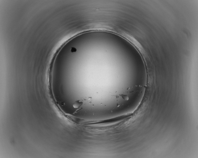 X0000111871144200907231507