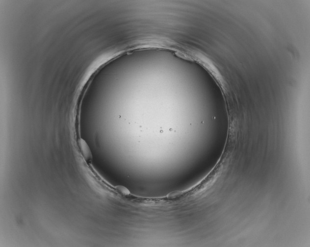 X0000111871146200907231507