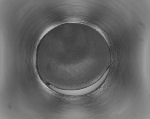 X0000111871147200907231507