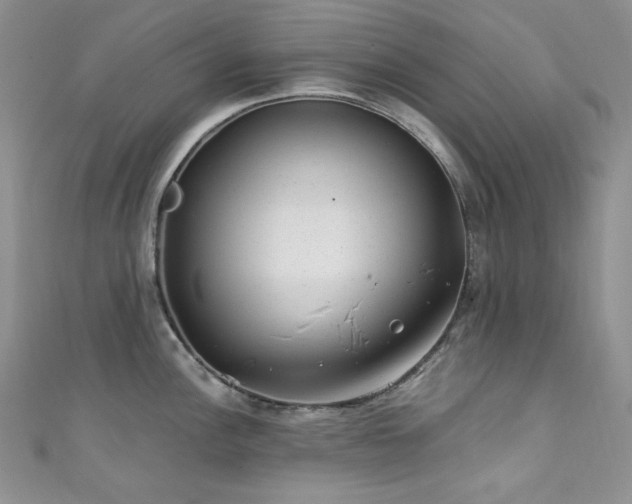 X0000111871148200907231507