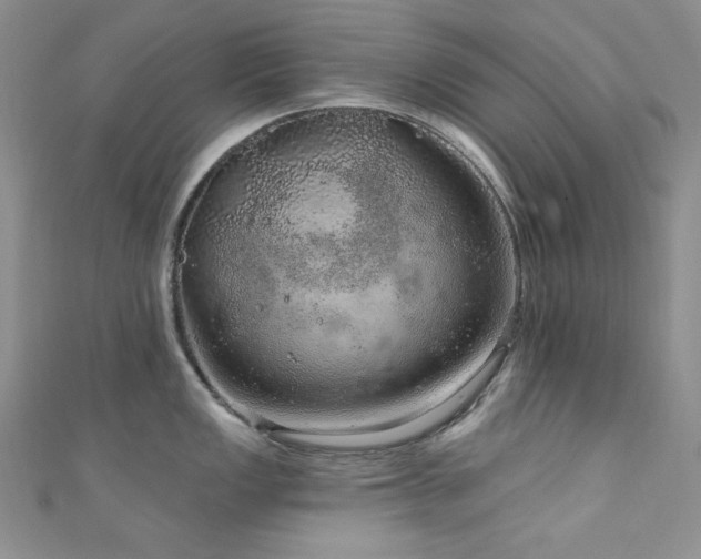 X0000111871149200907231507