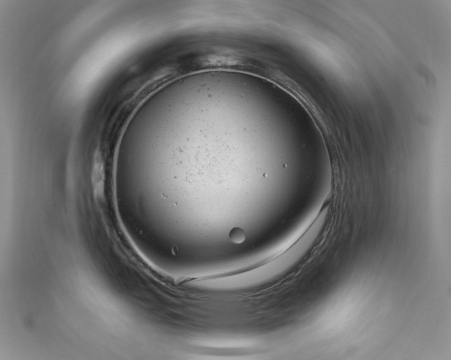 X0000111871151200907231507