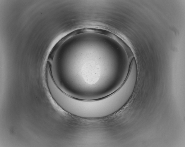 X0000111871152200907231507