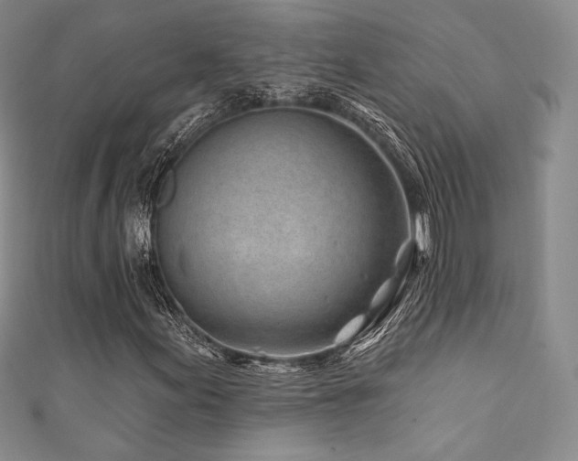 X0000111871155200907231507