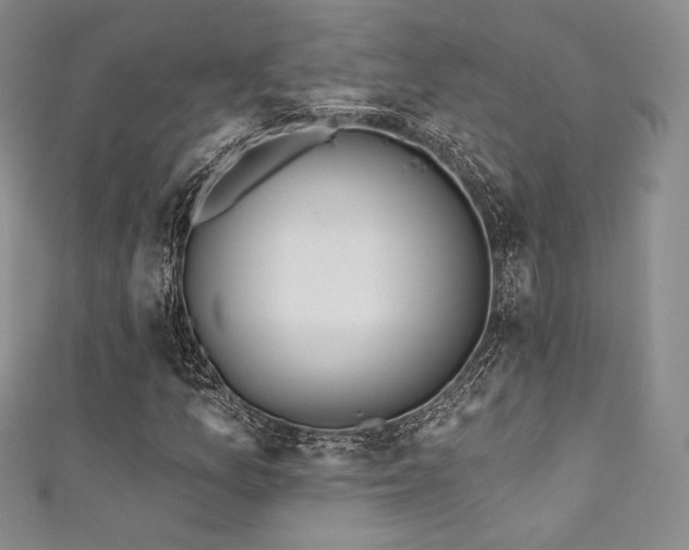 X0000111871157200907231507