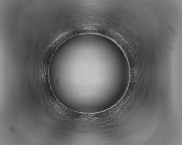 X0000111871158200907231507