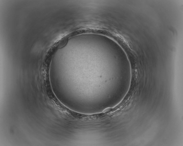 X0000111871159200907231507