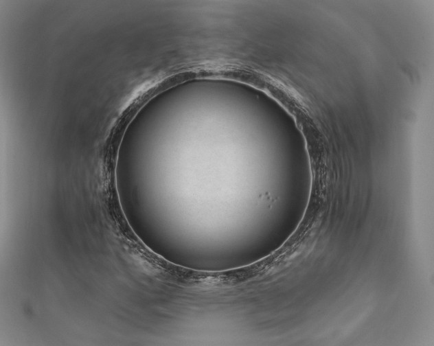 X0000111871160200907231507