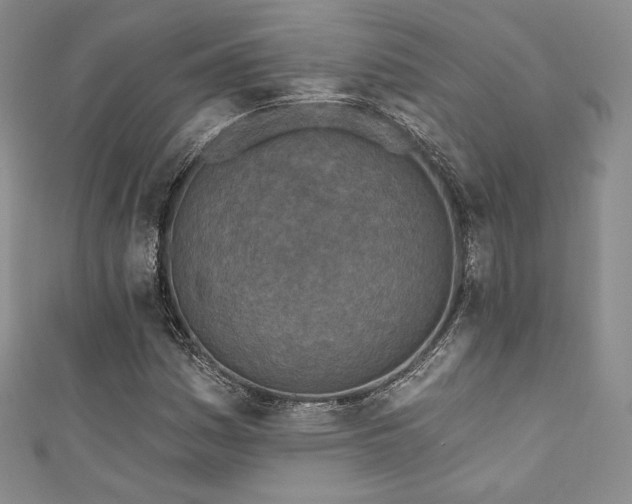 X0000111871161200907231507