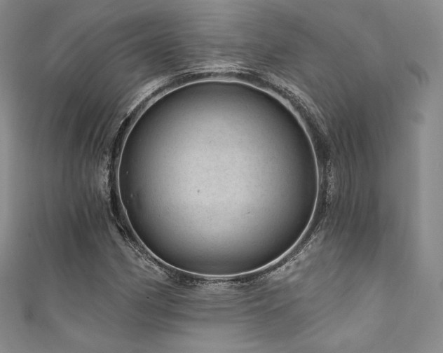 X0000111871162200907231507