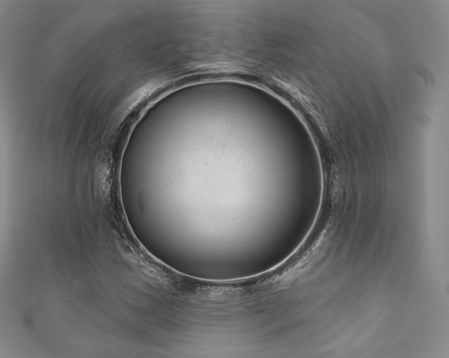 X0000111871163200907231507
